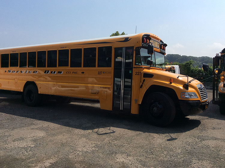 School Bus